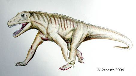 Rauisuchia Diphydontosaurus