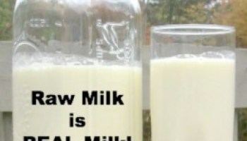 Raw milk What to Do with Raw Milk Before and as it Sours