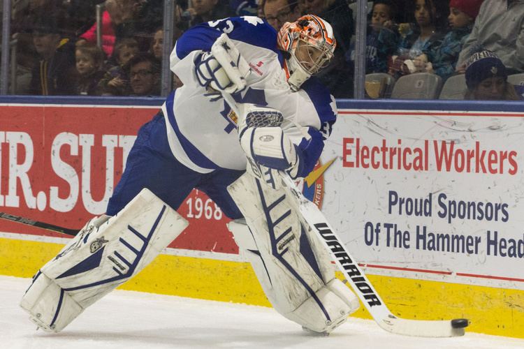 Ray Emery Marlies Ray Emery fights to keep career alive Toronto Star