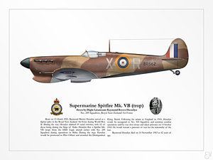 Raymond Hesselyn Raymond Hesselyns Spitfire Mk Vb Digital Art by Brendan Matsuyama