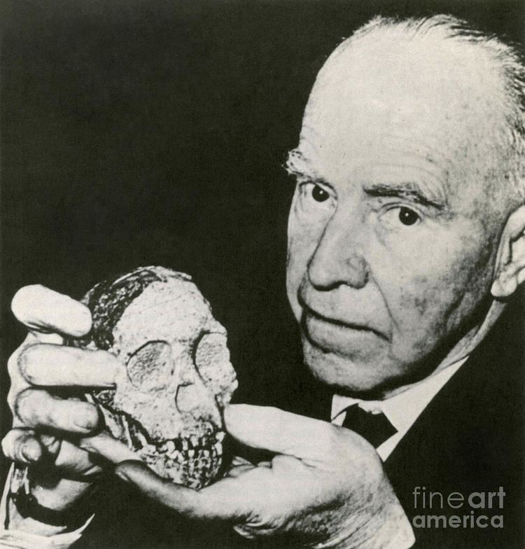 Raymond Dart Raymond Dart With Taung Child Skull by Science Source
