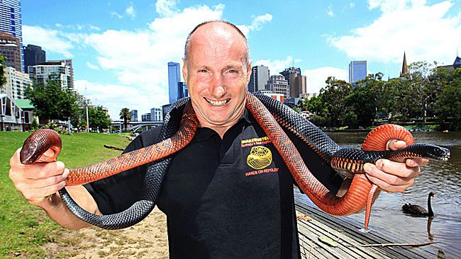 Raymond Hoser Melbourne snake handler Raymond Hoser has wildlife