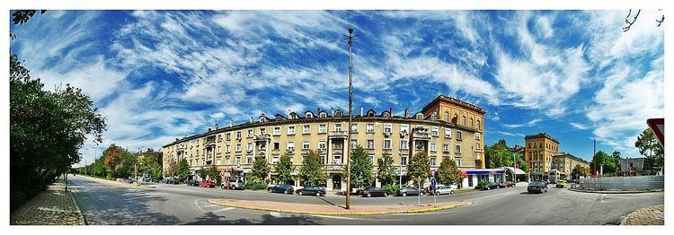 Raynovo