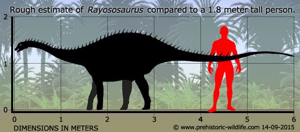 Rayososaurus wwwprehistoricwildlifecomimagesspeciesrrayo