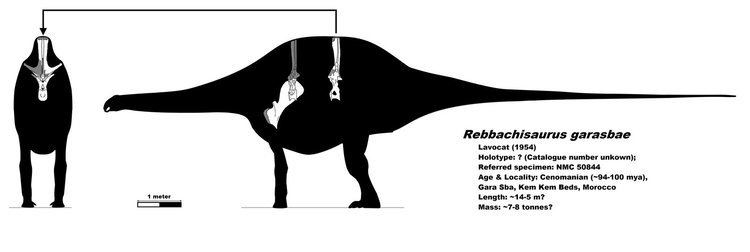 Rebbachisaurus rebbachisaurus DeviantArt