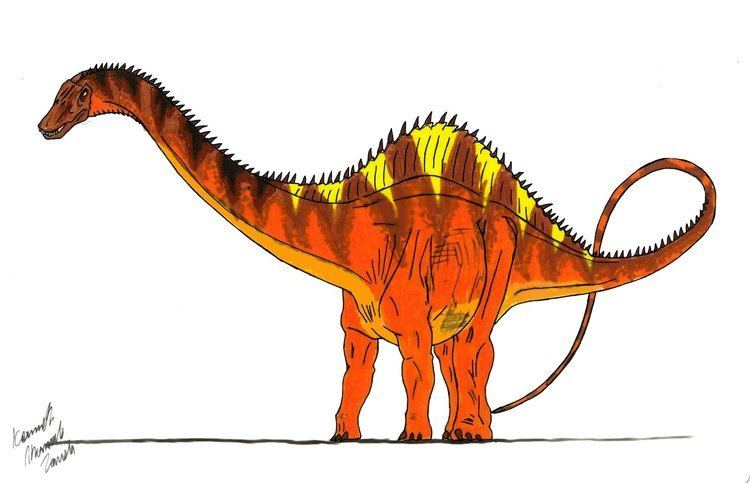 Rebbachisaurus Rebbachisaurus by Dinomaster on DeviantArt