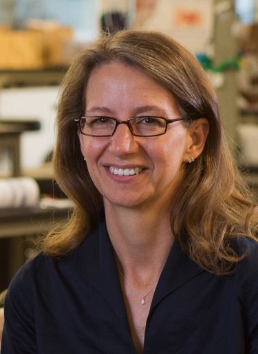 Rebecca Richards-Kortum RichardsKortum elected to American Academy of Arts and Sciences
