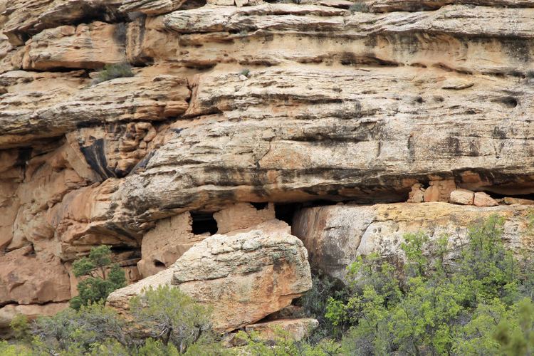 Recapture Canyon Recapture Canyon protesters found guilty in Utah High Country News