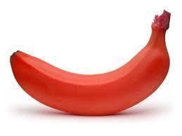 Red banana What Do You Know About The Red Banana by colorsandspices iFoodtv