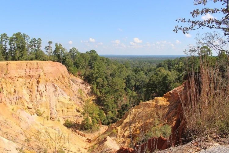 Red Bluff (Mississippi landmark) Red Bluff The Grand Canyon of Mississippi Sharing Horizons