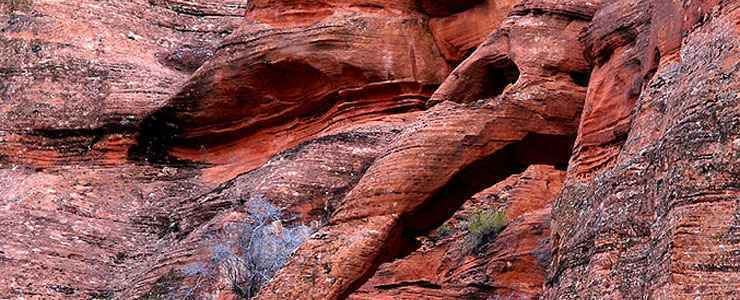 Red Cliffs National Conservation Area Red Cliffs National Conservation Area Utah BLM Sites