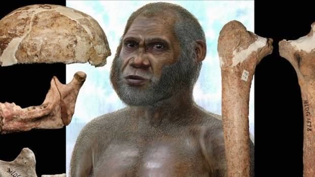 Red Deer Cave people Red Deer Cave thigh bone suggests prehistoric humans survived until