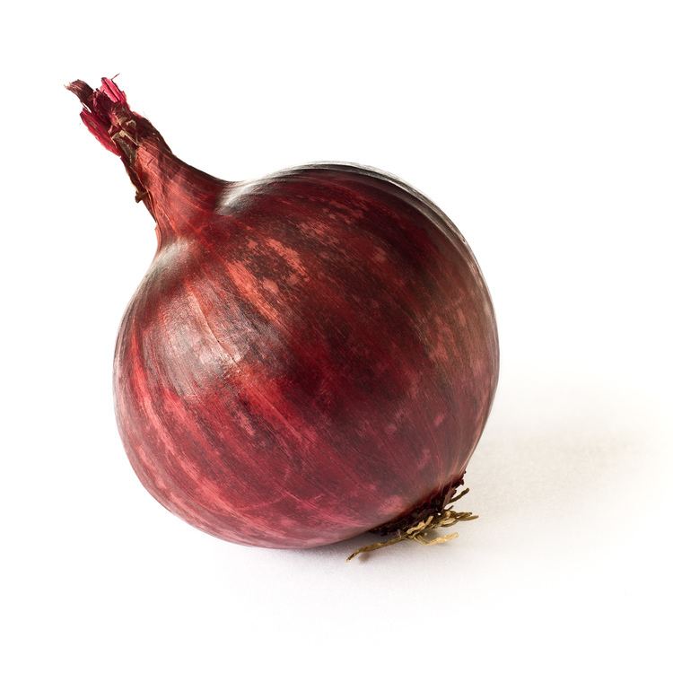 Red onion Red onion Wikipedia