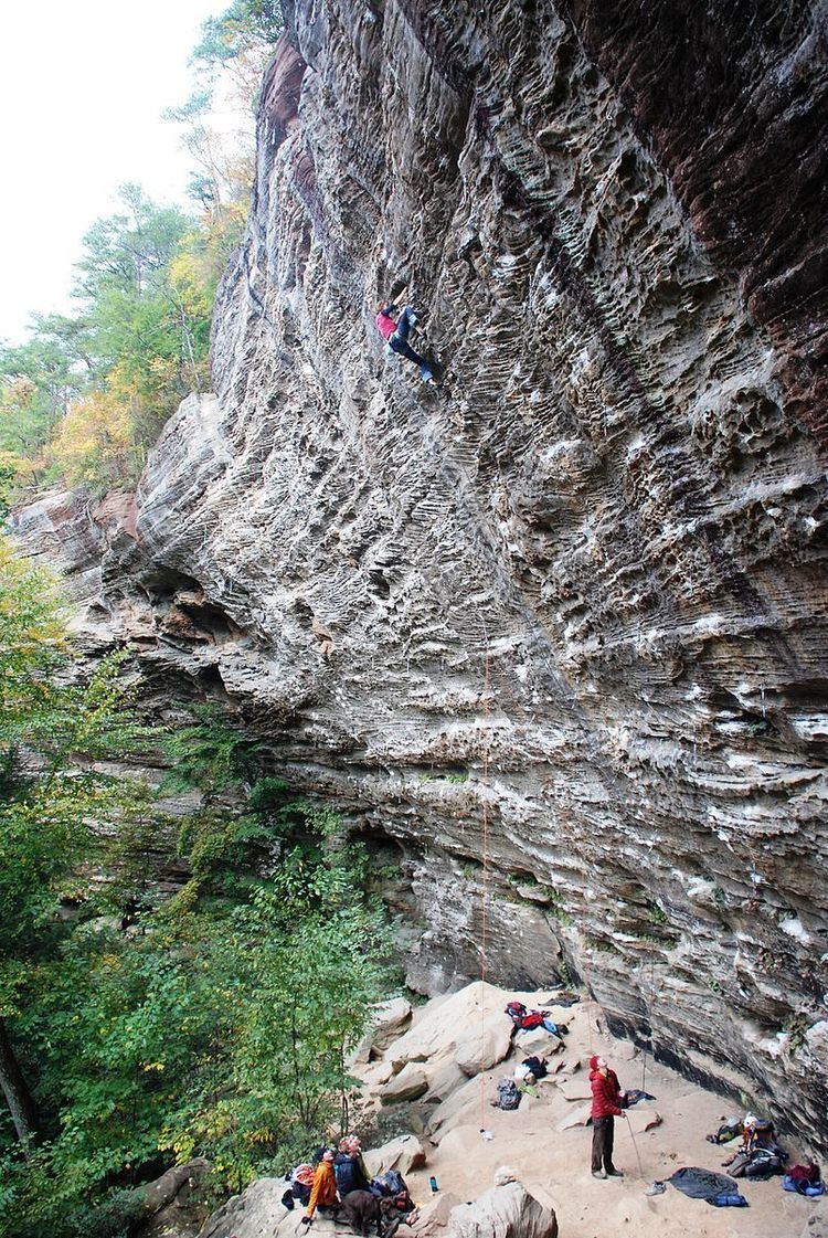 Red River Gorge Climbers' Coalition