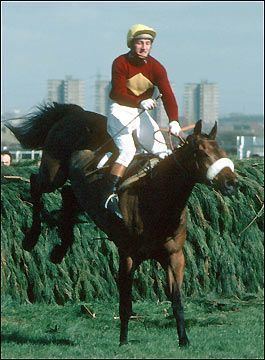Red Rum 10 images about Red Rum on Pinterest Trainers Determination and