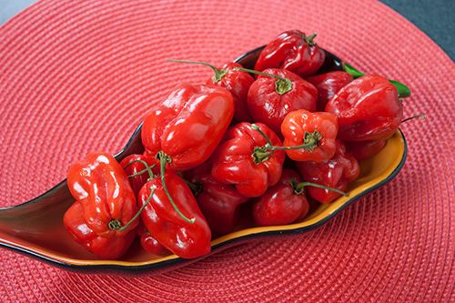 Red Savina pepper Types and Varieties of Habanero Peppers Red Savina Habanero