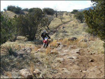 Redington Pass wwwriderplanetusacomatvtrailsphoto3707db28