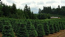 Redland, Oregon httpsuploadwikimediaorgwikipediacommonsthu
