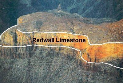 Redwall Limestone grandcanyonnaturalhistorycomimagesnatureimages