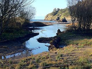 Redwood Creek (Marin County) httpsuploadwikimediaorgwikipediacommonsthu