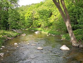 Redwood River httpsuploadwikimediaorgwikipediacommonsthu