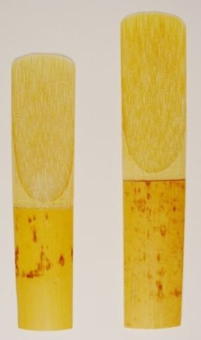 Reed (mouthpiece)