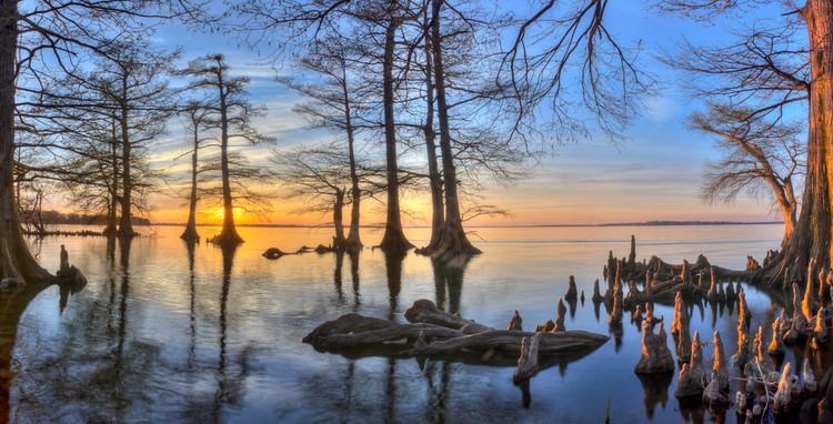 Reelfoot Lake Sunset 2 Reelfoot Lake State Park Lake County Tennessee Flickr