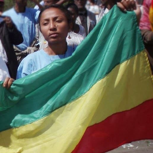 Reeyot Alemu 4th day of Ethiopian journalist Reeyot Alemus hunger strike