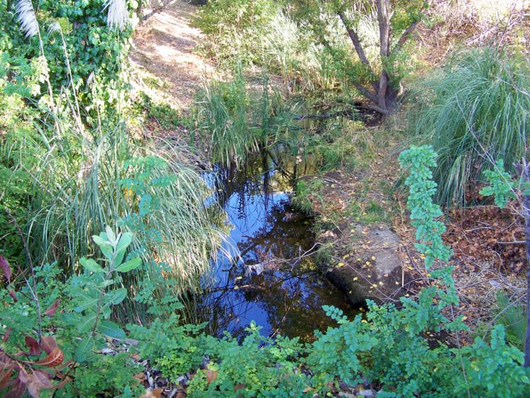Refugio Creek