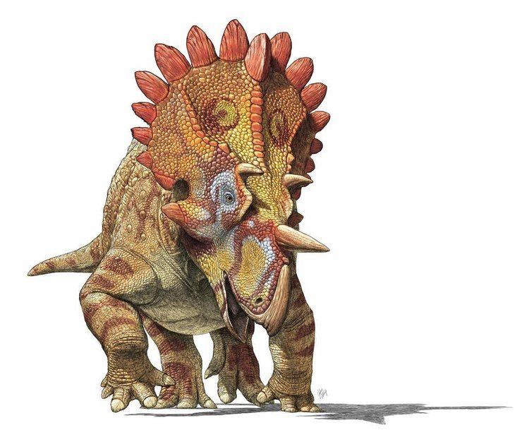 Regaliceratops regaliceratops hashtag on Twitter