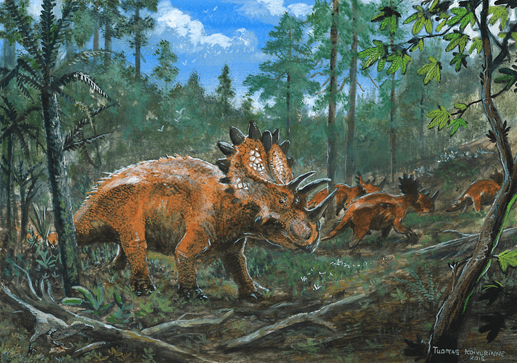 Regaliceratops regaliceratops DeviantArt