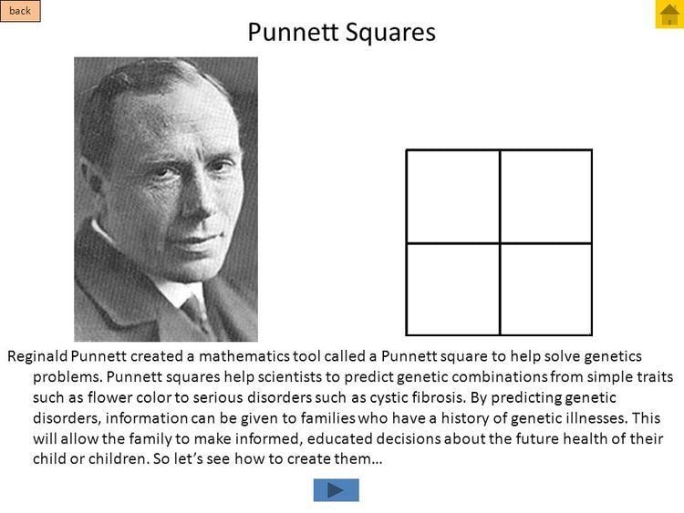 Reginald Punnett Presentation quotGenetics Tutorial Place your keyboard aside