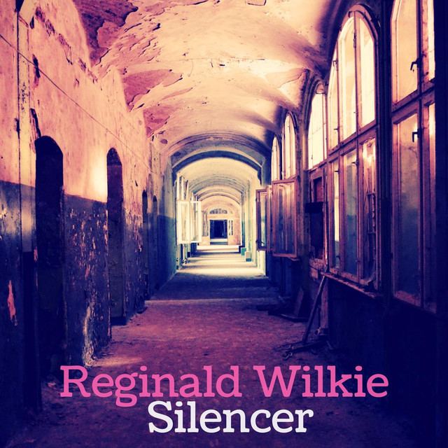 Reginald Wilkie She Knows Hes A Troublemaker a song by Reginald Wilkie on Spotify