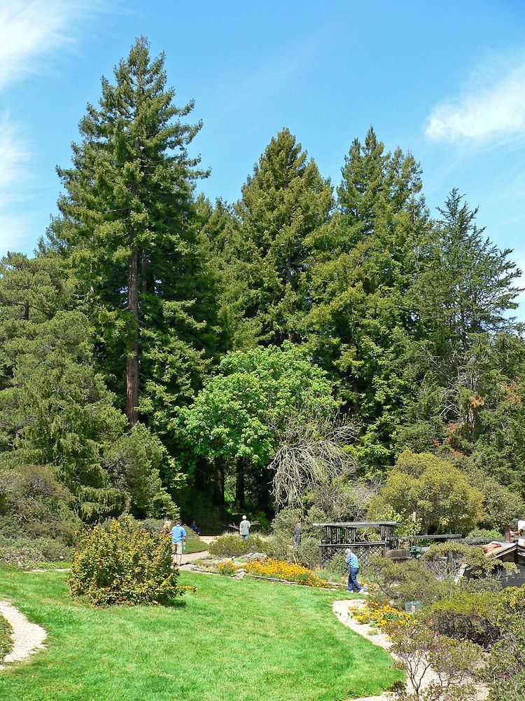 Regional Parks Botanic Garden