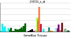 Regulator of cell cycle RGCC