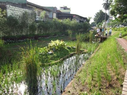 Rehabilitation of the Pasig River alluviumcomaugetmedia1b957f8e4e3942b5be5f2