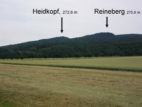 Reineberg httpsuploadwikimediaorgwikipediacommonsthu