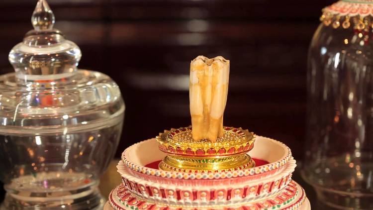 Relic of the tooth of the Buddha The Buddha39s Tooth is Still Growing YouTube