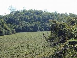 Rema-Kalenga Wildlife Sanctuary Qumruzzaman Chowdhury The Rufford Small Grants for Nature Conservation