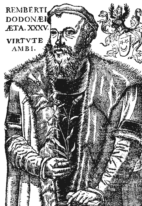 Rembert Dodoens Rembert Dodoens Cruyde Boeck Antwerpen 1563