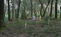 Remley Point Cemetery httpsuploadwikimediaorgwikipediacommonsthu