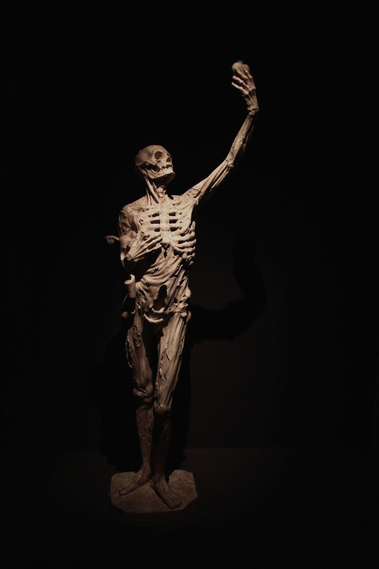 René of Chalon 78 Best images about richier on Pinterest Statue of The church