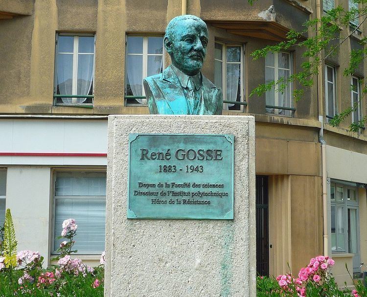 Rene Gosse