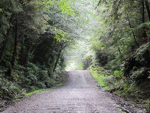 Rennell Sound Rennell Sound And Moving On Travel Blog