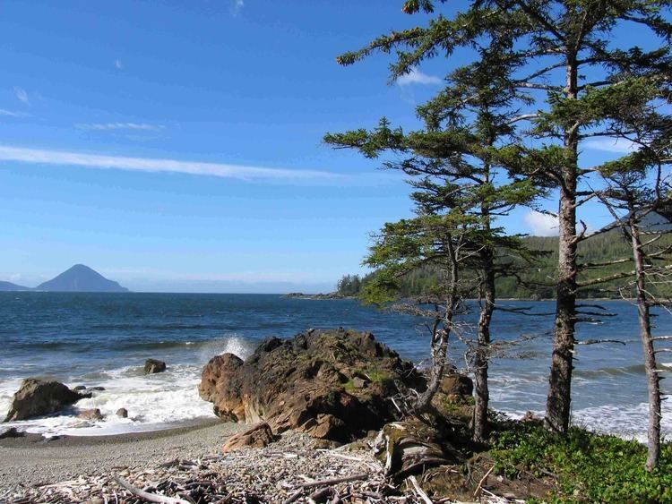 Rennell Sound Rennell Sound Golden Spruce