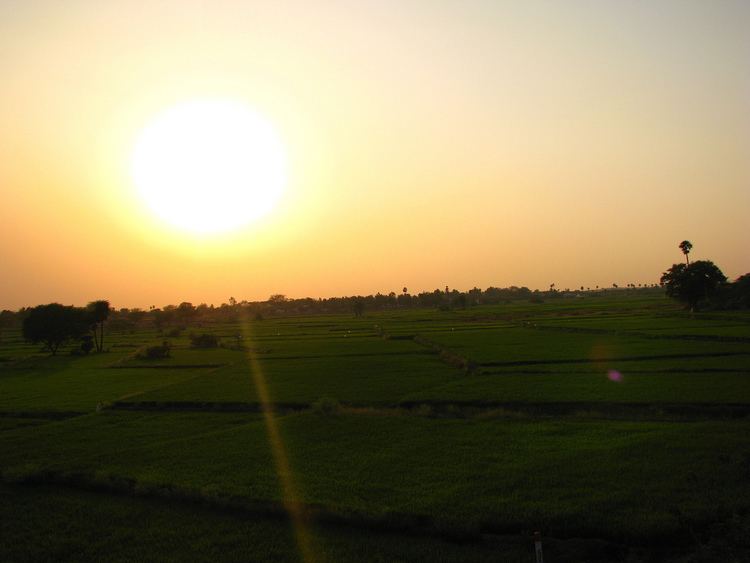 Repalle Beautiful Landscapes of Repalle