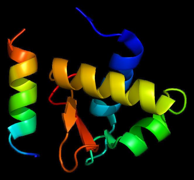 Replication protein A2