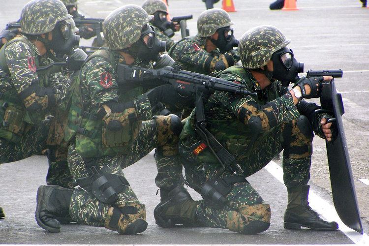 Republic of China Marine Corps Members of the Republic of China Marine Corps Special Service