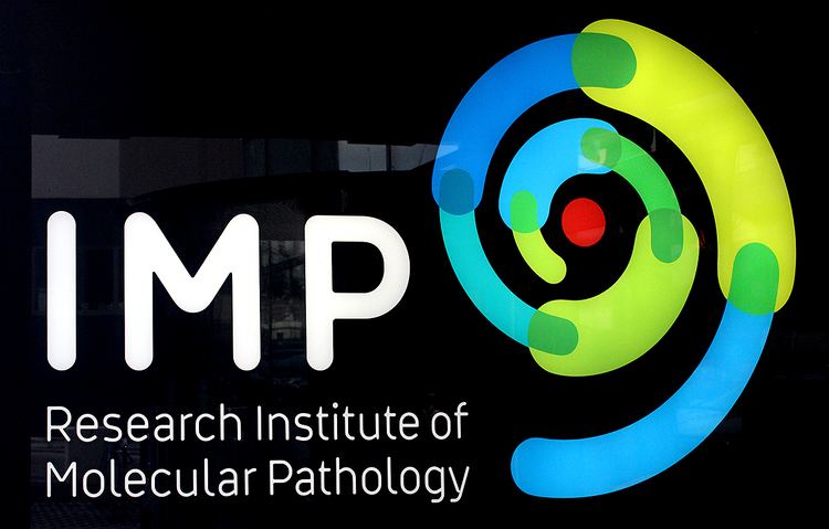 Research Institute of Molecular Pathology