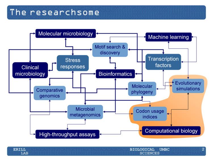 Researchsome